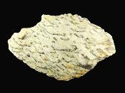 Zebradorite (Smokey Quartz in Feldspar) Raw Nodule Specimen.   SP16060SLF