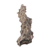 Fulgurite (Prayer Whistle)  Crystal Formation.   SP17099