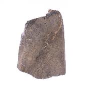 Black Amethyst Druze On Matrix Specimen.   SP17185