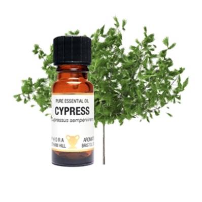 PURE ESSENTIAL OIL - CYPRESS. cuppressus sempervirens. 10ml. 1/3 fl oz us. 40g. SPR1081