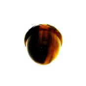 Acorn Carving in Tigerseye.   SPR15250POL