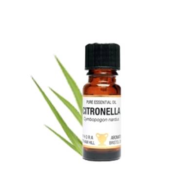 PURE ESSENTIAL OIL - CITRONELLA. cymbopogon nardis. SPR1639