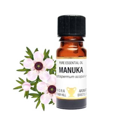 PURE ESSENTIAL OIL - MANUKA, leptospermum scoparium. SPR5729