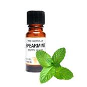 PURE ESSENTIAL OIL - SPEARMINT, metha spicata. SPR8433