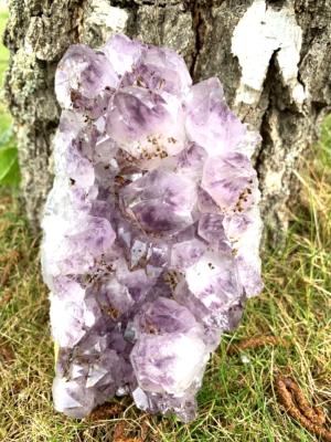 AMETHYST  DRUZE/ CLUSTER SPECIMEN.   SP12618SHF