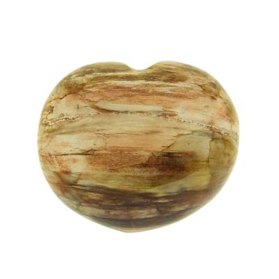 Petrified Wood Polished Heart.   SP16129POL