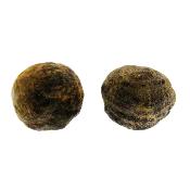 Pair Of Genuine Moqui Marbles (Shamen Stone).   SP16684